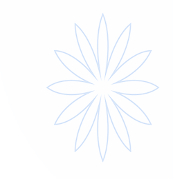 bevictor韦德亚洲·(中国区)官方网站